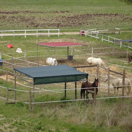 In With Pool Dom wakacyjny