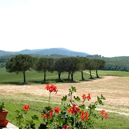 In With Pool Dom wakacyjny *