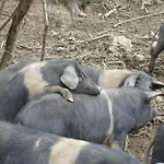Дом отдыха In With Pool
